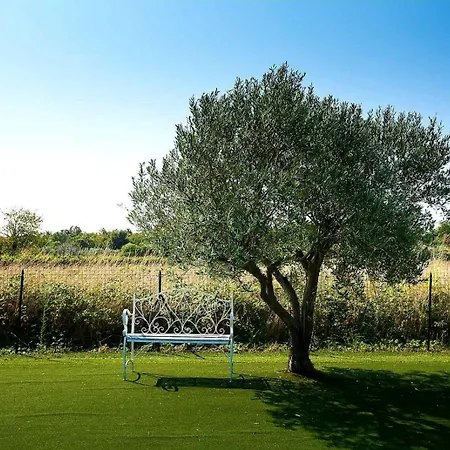 With Heated Pool,spa And Tennis Court